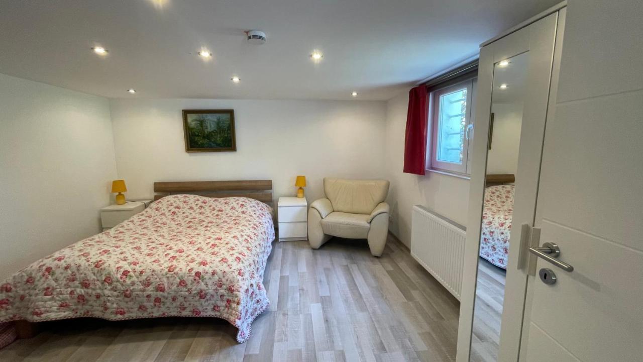 Appartment Basel Сен-Луи Экстерьер фото
