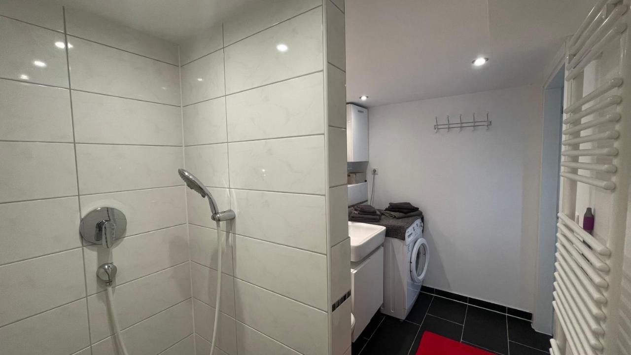 Appartment Basel Сен-Луи Экстерьер фото